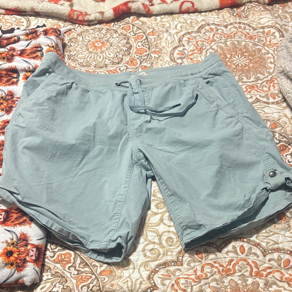 Light blue  Casual Shorts. lL bean